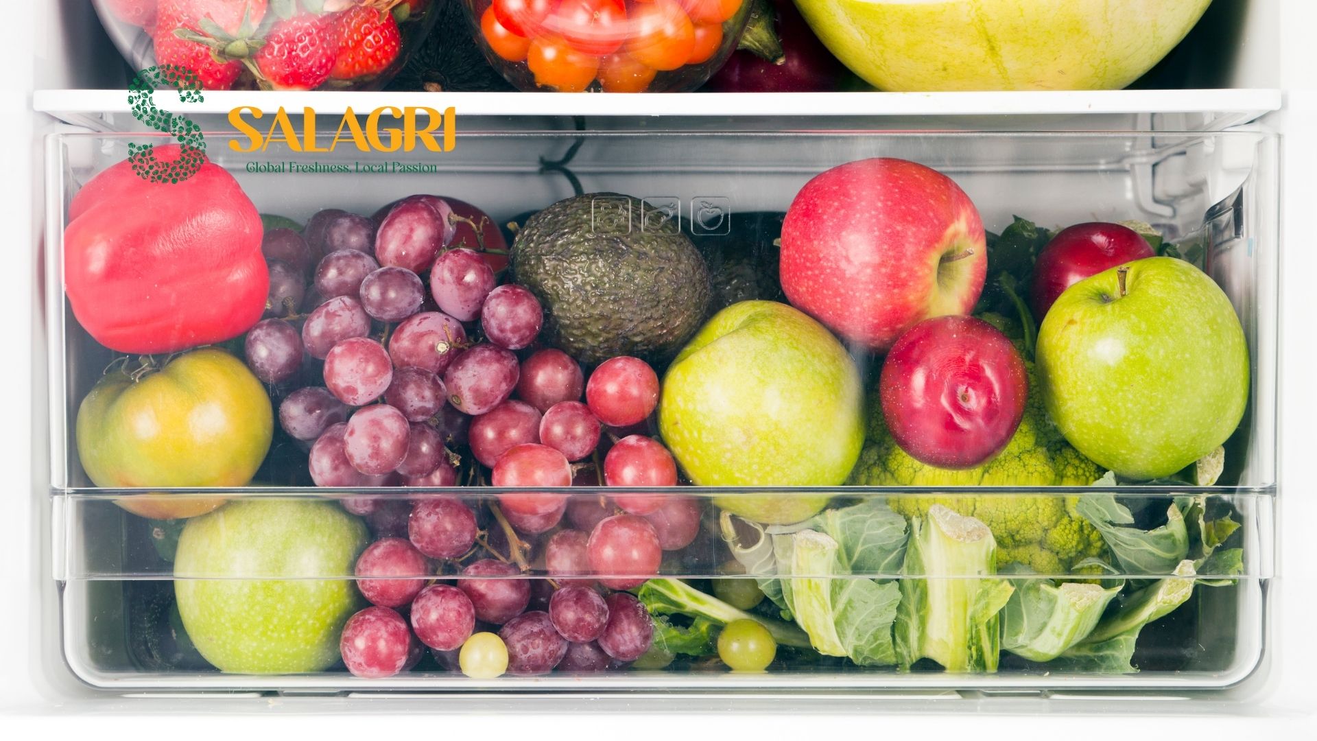 salagri-how-to-keep-fruit-fresh