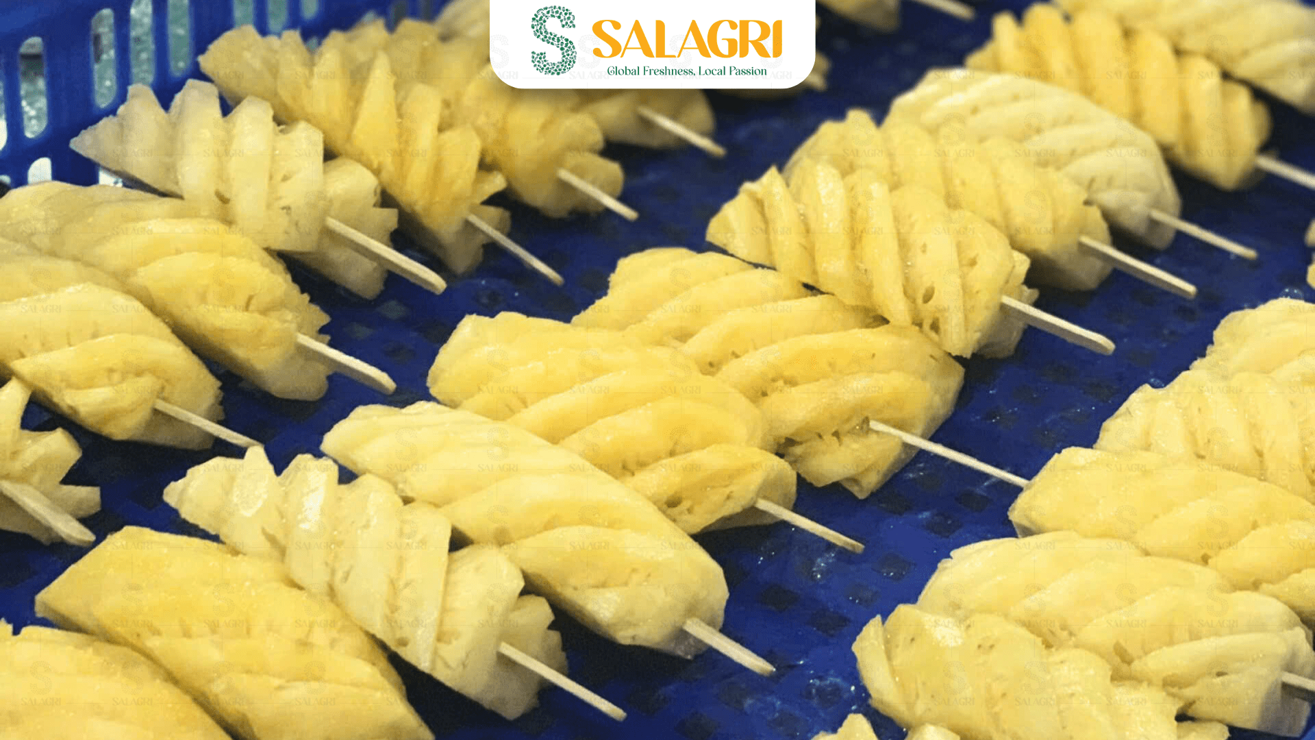 frozen-pineapple-fruit-salagri