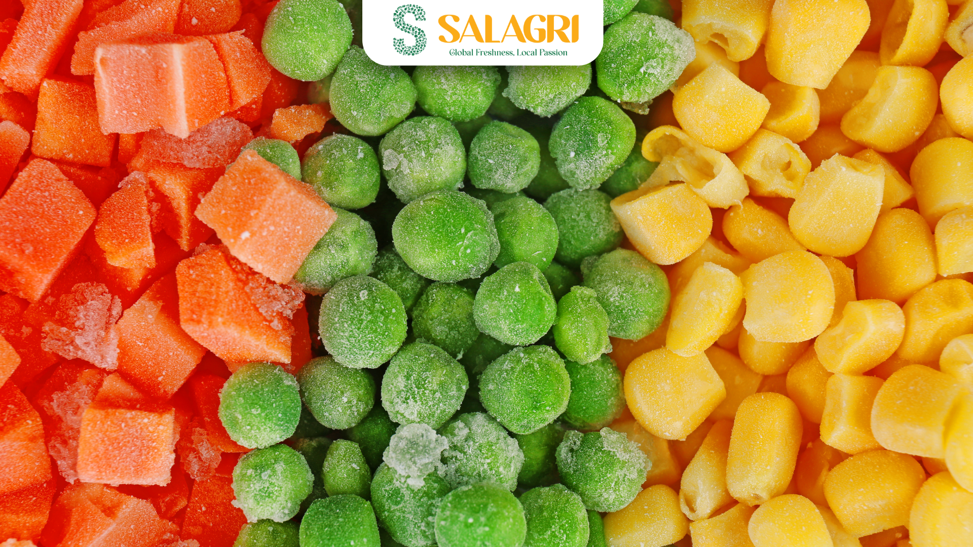 salagri-fruit-vegetables
