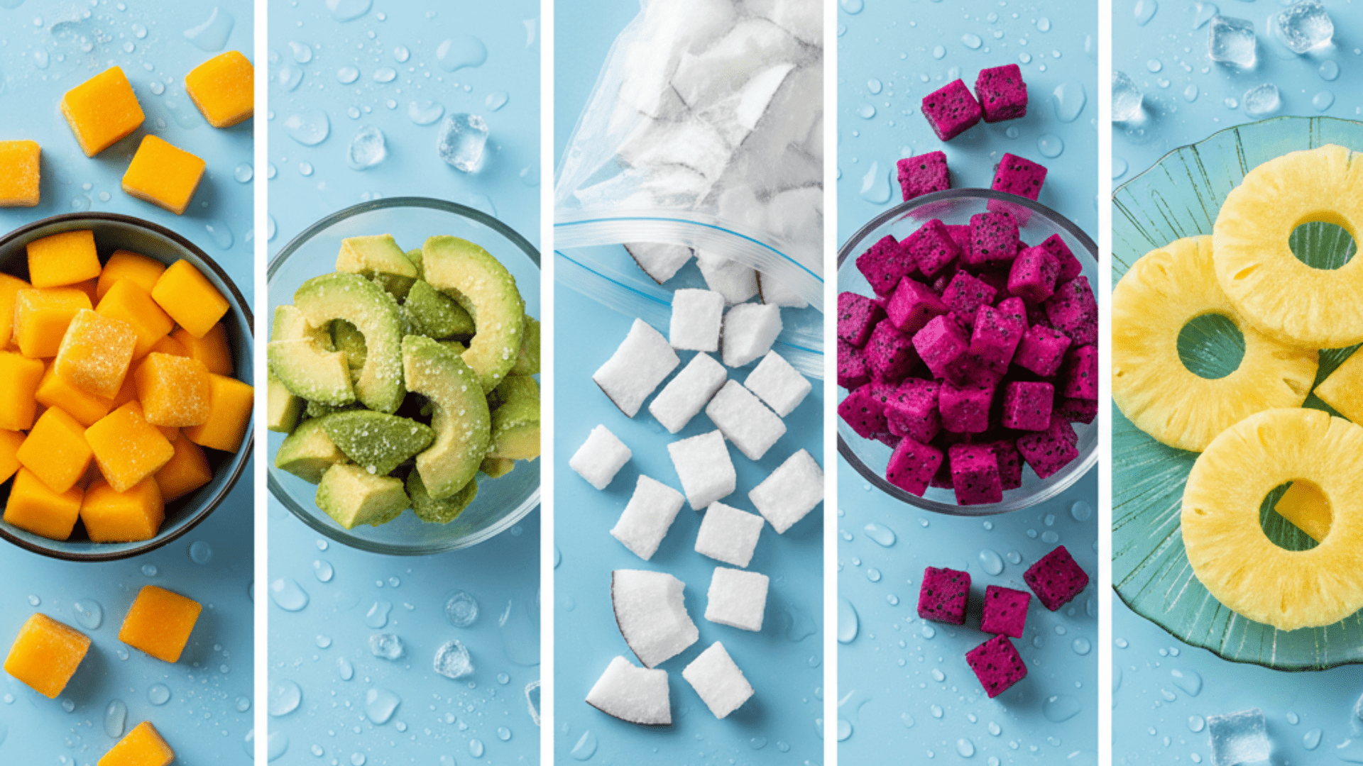 salagri-frozen-fruit