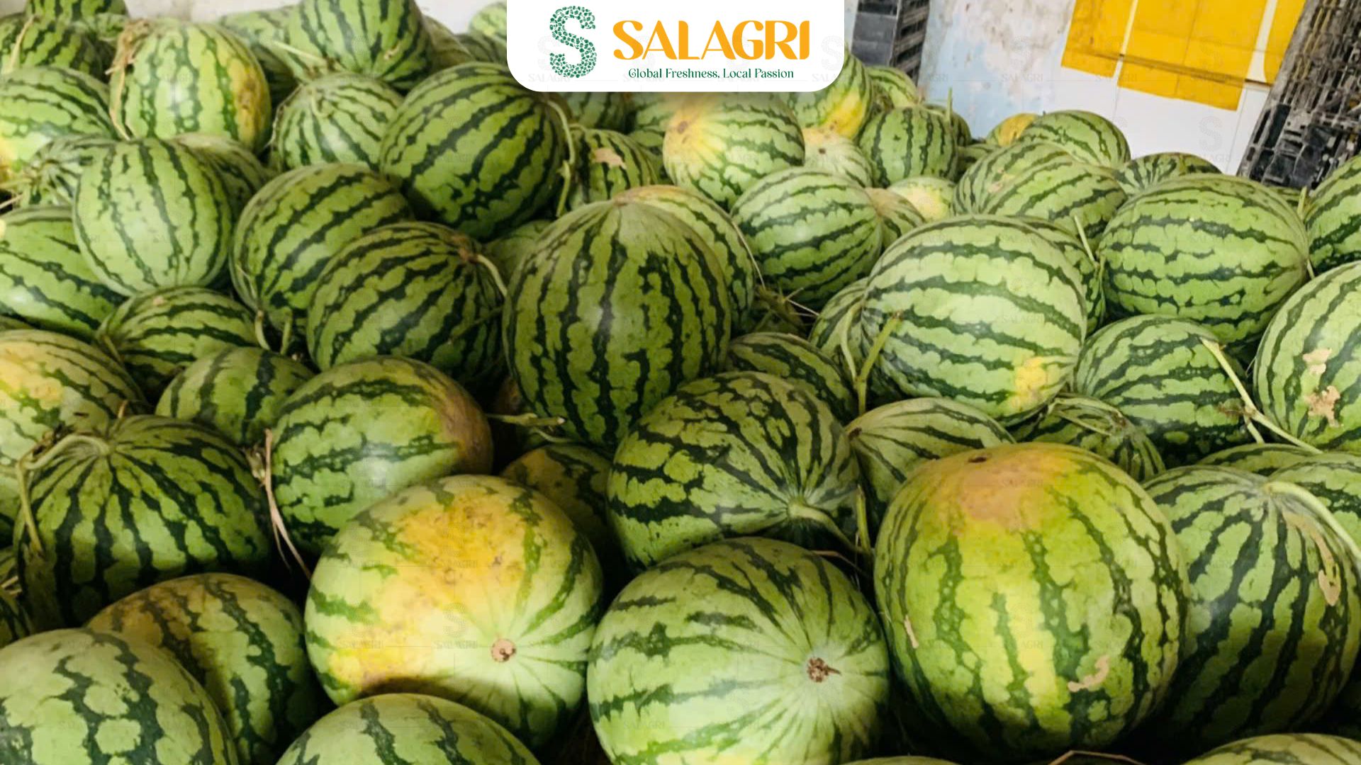 fresh-watermelon