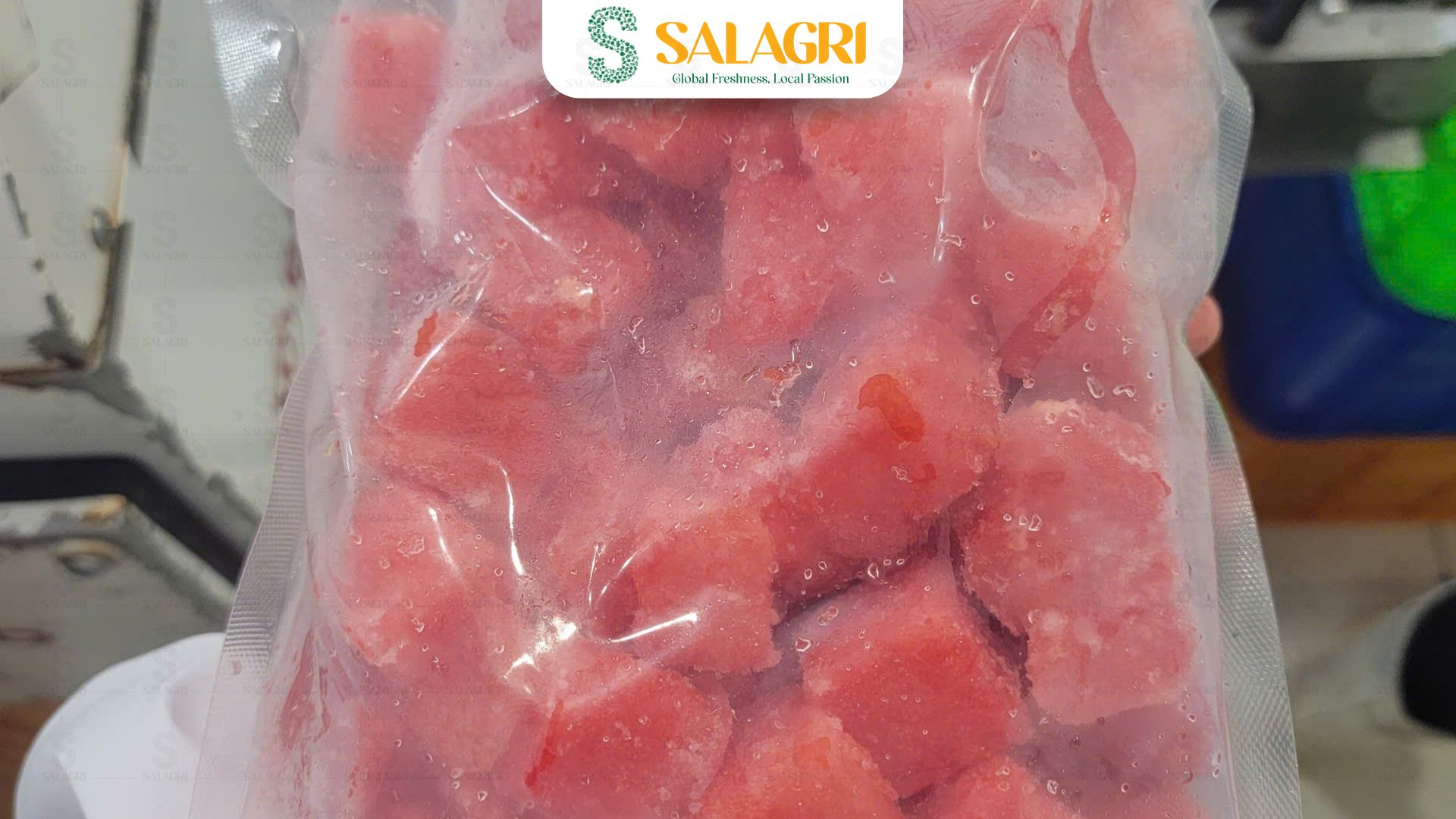 frozen-watermelon-salagri