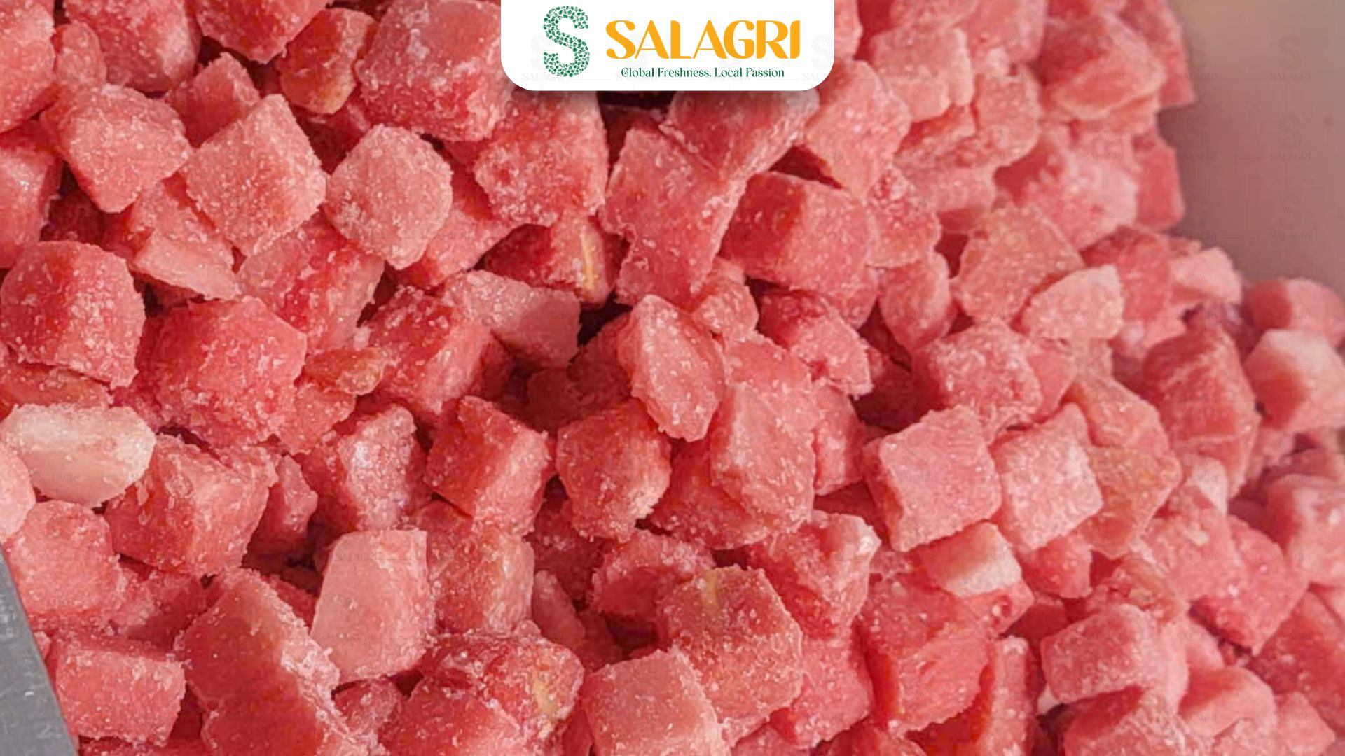 salagri-frozen-watermelon