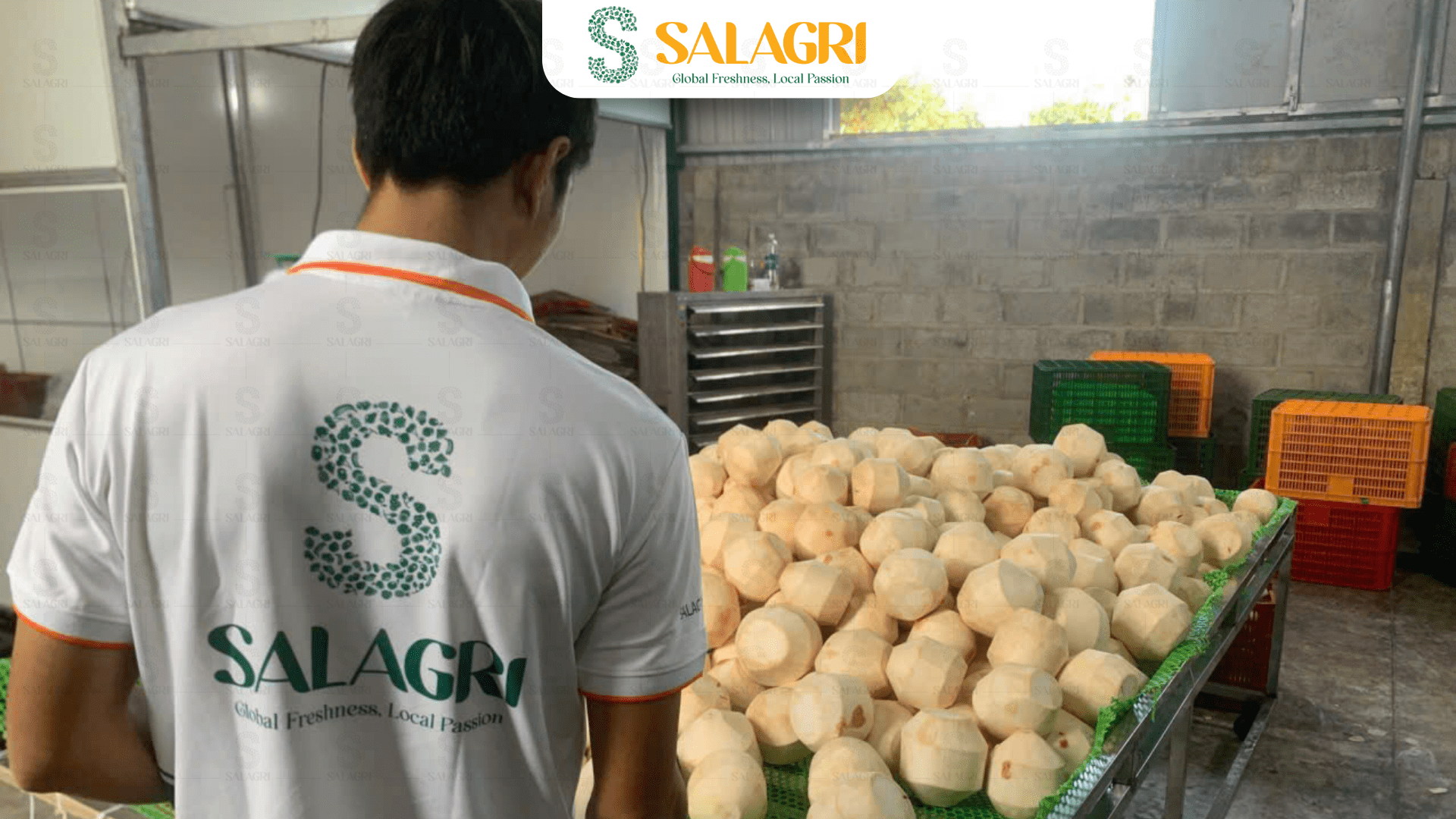coconut-salagri-factory