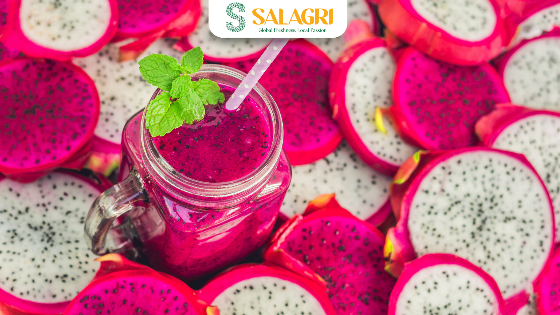 dragon-fruit-farm (2)