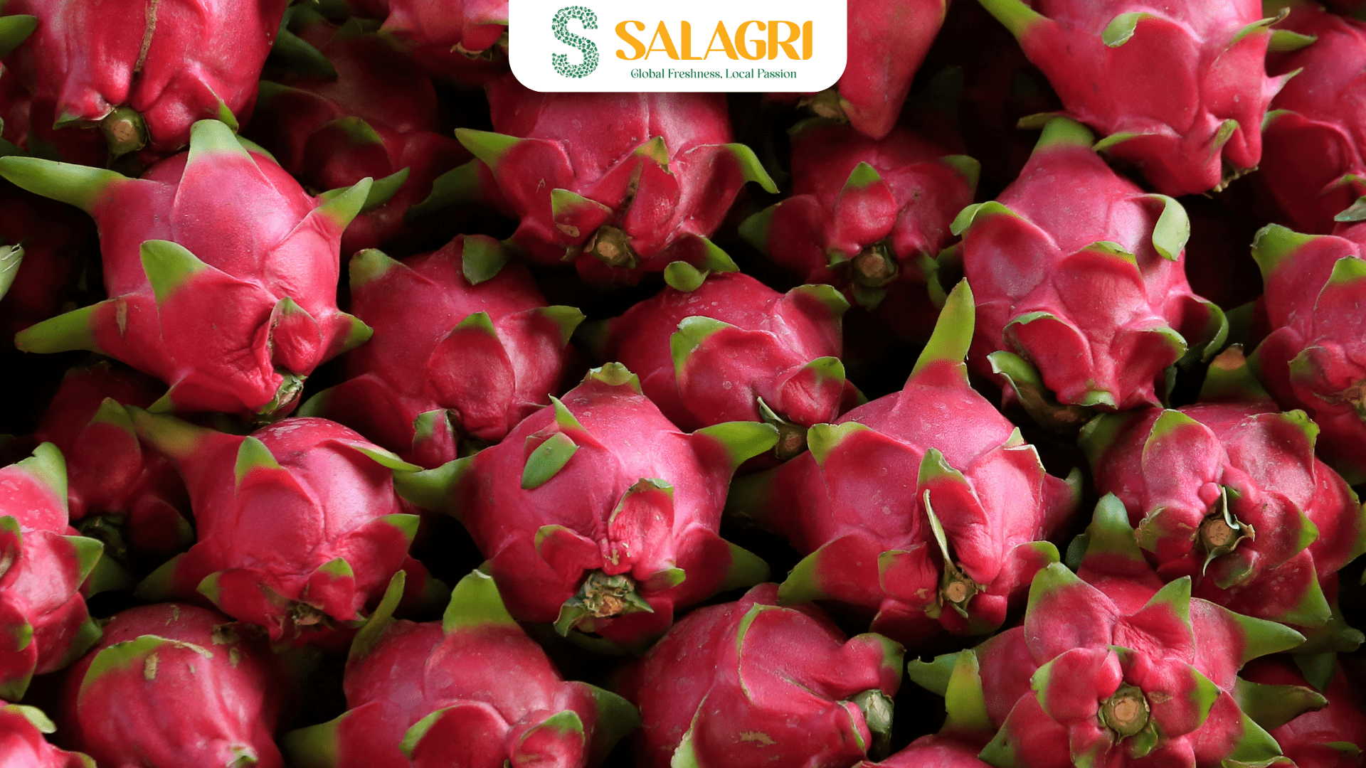 fresh-dragon-fruit