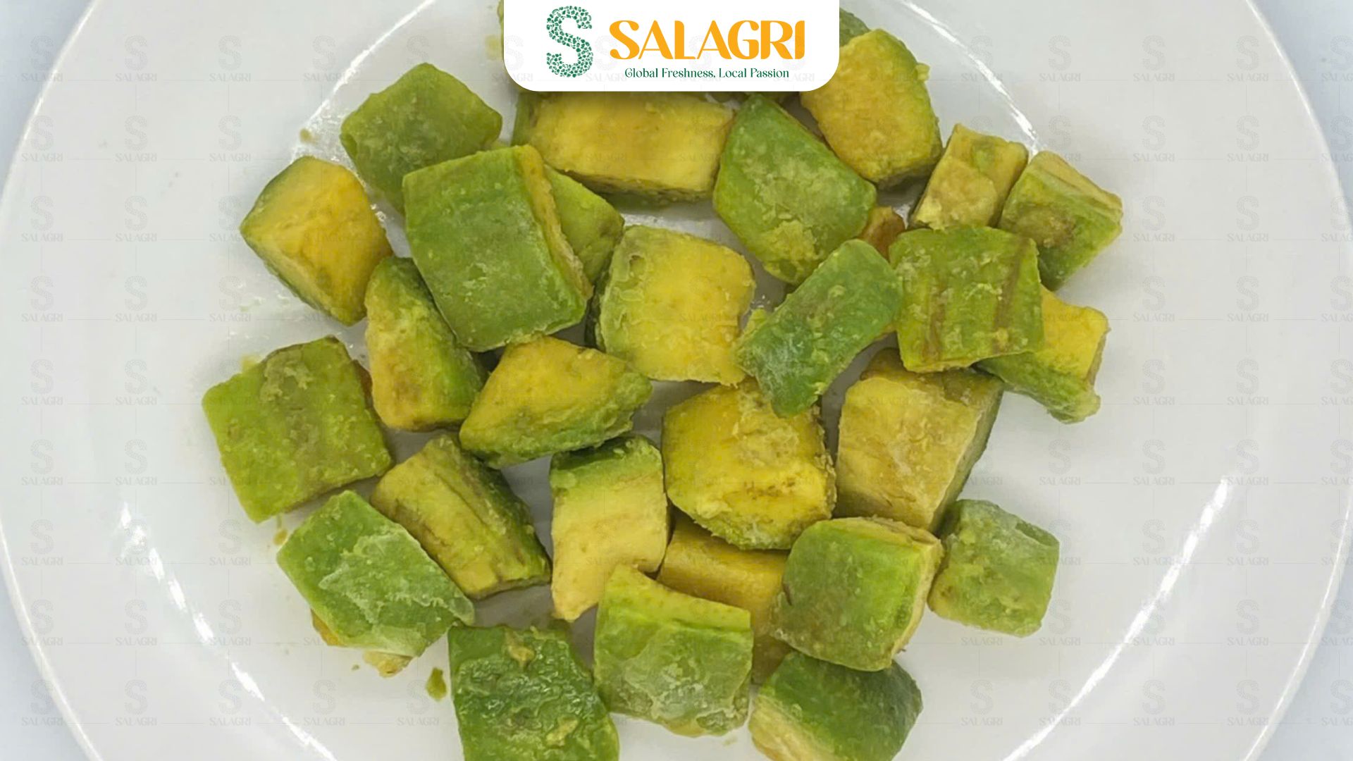 viet-salagri-avocado