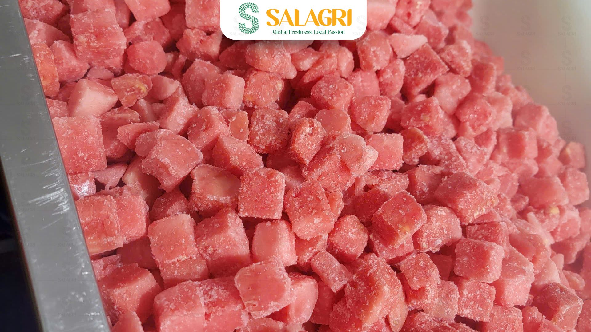frozen-watermelon