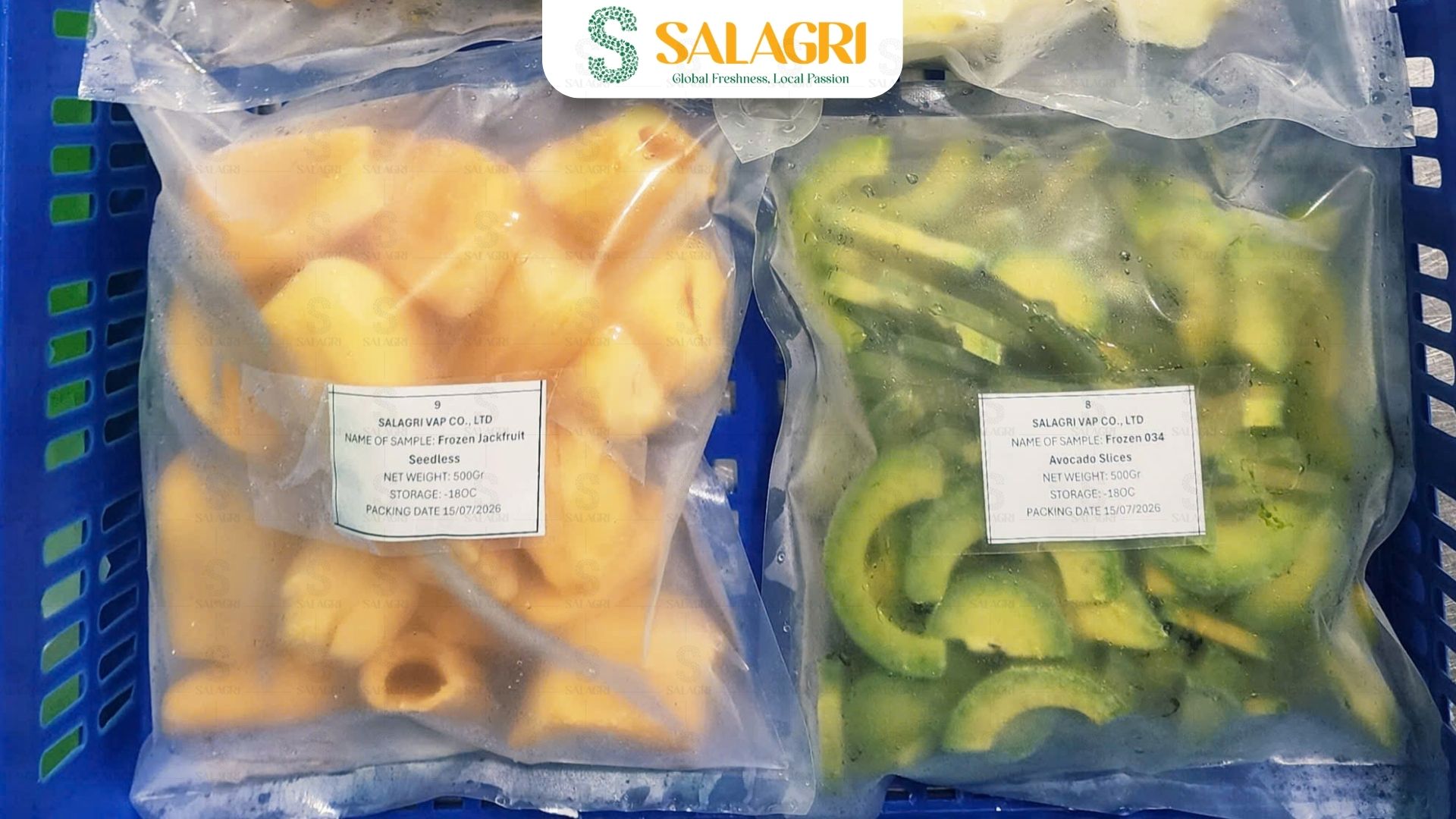 frozen-fruit-salagrifruit