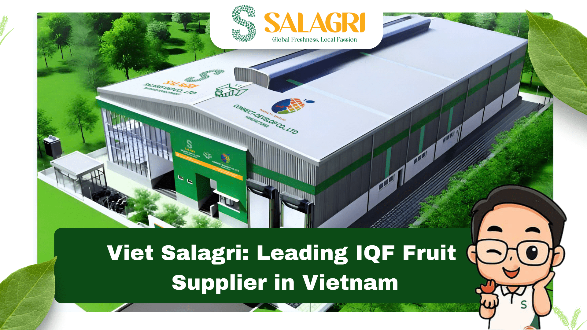 viet-salagri-fruit-leading-iqf-fruit-supplier