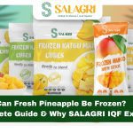 can-fresh-pineapple-be-frozen