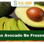 can-avocado-be-frozen
