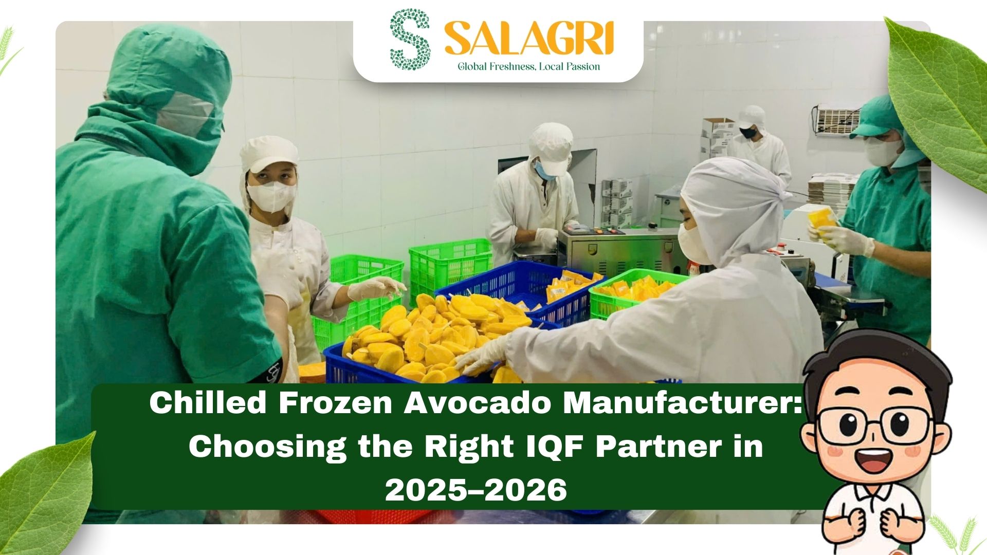 chilled-frozen-avocado-manufacturer