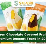 frozen-chocolate-covered-fruit
