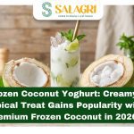 frozen-coconut-yogurt