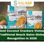 baked-coconut-crackers-vietnam-2026