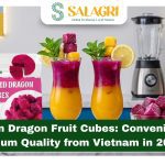 frozen-dragon-fruit-cubes