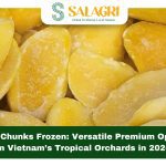 mango-chunk-frozen-2026-salagri
