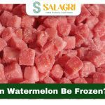 can-watermelon-be-frozen