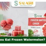 can-you-eat-frozen-watermelon