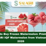 where-to-buy-frozen-watermelon