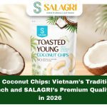 baked-coconut-chips