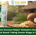 what-are-coconut-chips