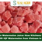 frozen-watermelon-juice-salagri-iqf-wwatermelon-2026