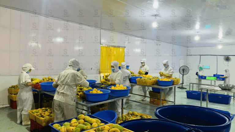 IQF-FRUIT-SUPPLIER